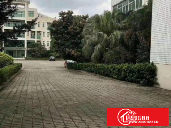 福永厂房出租1500平方厂房分租宝安大道福永地铁站精装修红本