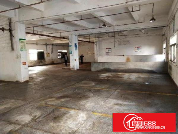 大岭山月山村工业园带装修厂房700平方