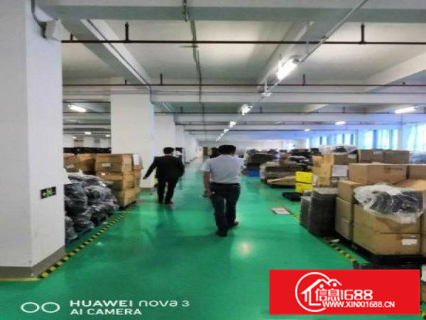 沥林主干道旁工业园内楼上800平带豪华装修厂房出租