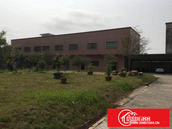 平湖新出独门独院标准厂房3300平方米出租可分租