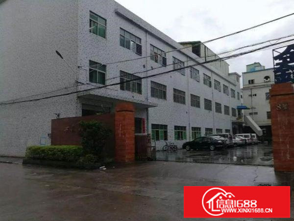 龙岗区坪地一二楼各1000平方厂房出租可以分租