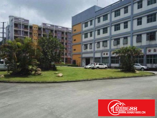 龙岗原房东3吨电梯厂房出租1500平3000平实际面积