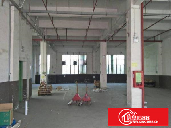 惠阳新圩11000平原房东独院厂房出租空地大可分租