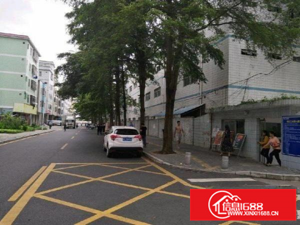 坑梓宝红路12-1厂房3000平可分租