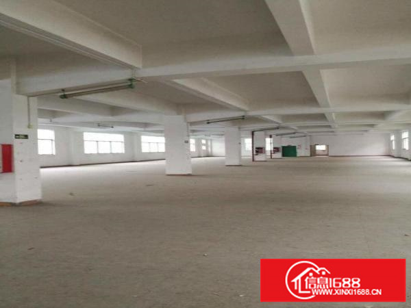 龙岗坪地坪西独院厂房可分租