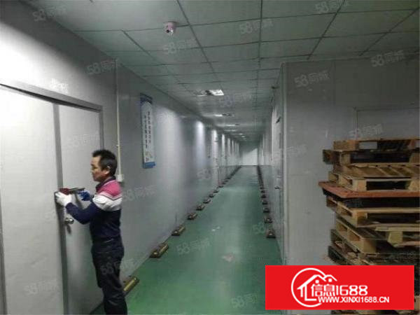 大朗洋乌新出楼上1400方带装修，水电齐全