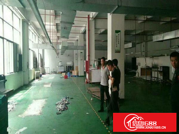 大欣工业区刚刚空出一楼750平方，高速入口一千米！