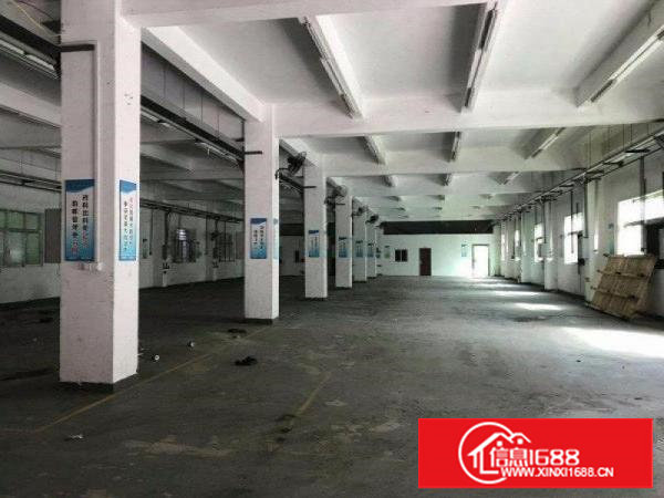 原房东！塘厦大坪2400平方米高6.5米标准一楼厂房