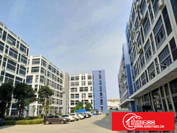 免租期长虎门怀德新空出3楼1200平方厂房带装修无公摊