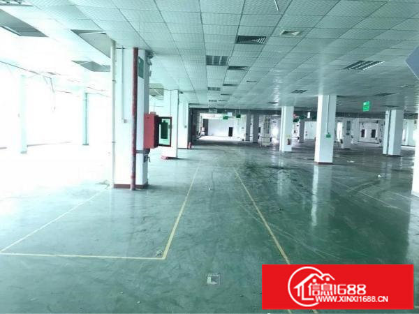 福永大洋田红本独院厂房22000平大小分租面积实在