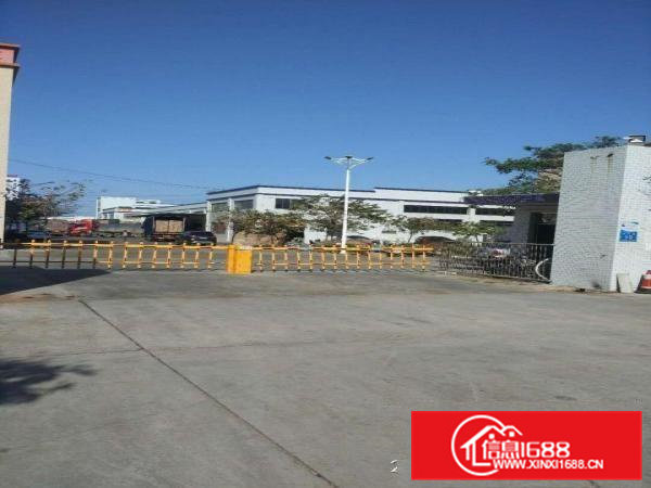 高埗配套齐全超靓各种厂房出租,标准厂房分租