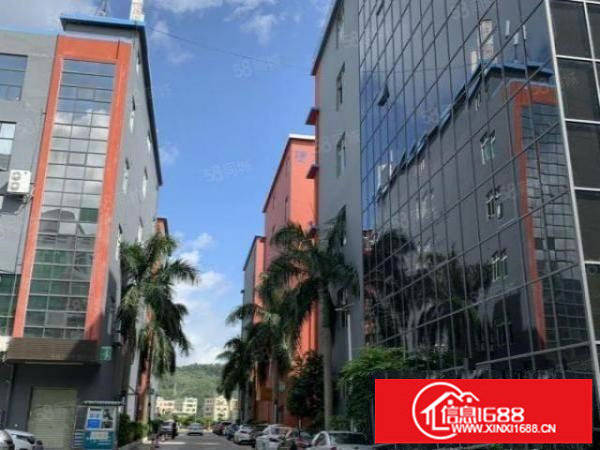 无中介直租南联双龙爱南路精装办公室大型仓库小加工业主直招