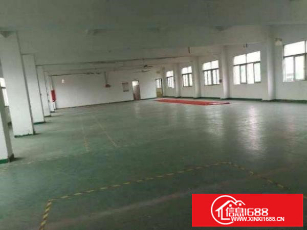 大浪南路新出一楼420平带装修适合机械仓库等