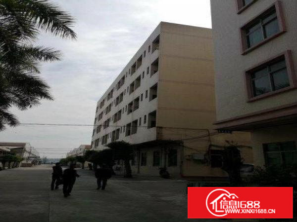 东莞凤岗，原房东，2栋全新标准厂房分租，有消防喷淋