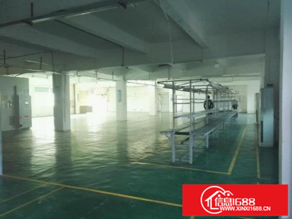 龙岗新生二楼1100平带装修标准厂房出租