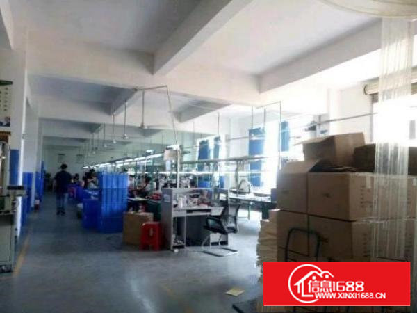 九围簕竹角整层1500平方带装修厂房招租