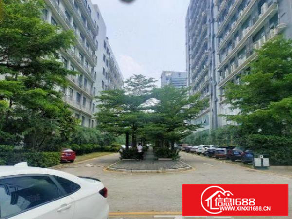 光明红本工业园2万平独栋仓库厂房出租精装修2000平可分租