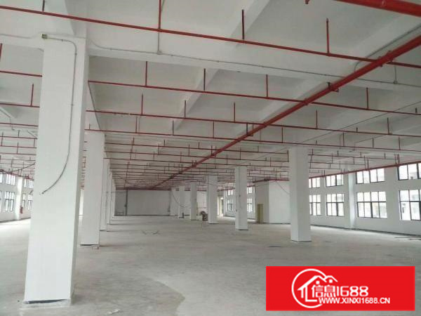 万里红本独院标准厂房21000平！500起可分租！