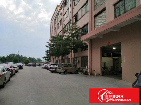 石排原房东一楼1000至2000平方米标准厂房出租