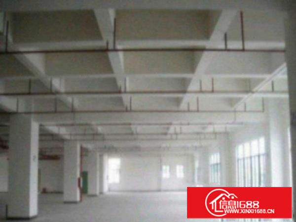 高埗独院标准一楼厂房500-5000平米带办公室装修低价适合