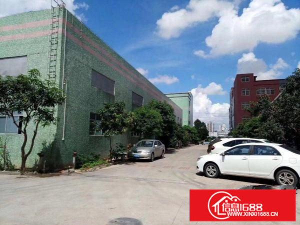 惠阳大亚湾标准单一层厂房招租，滴水八米，有房产证