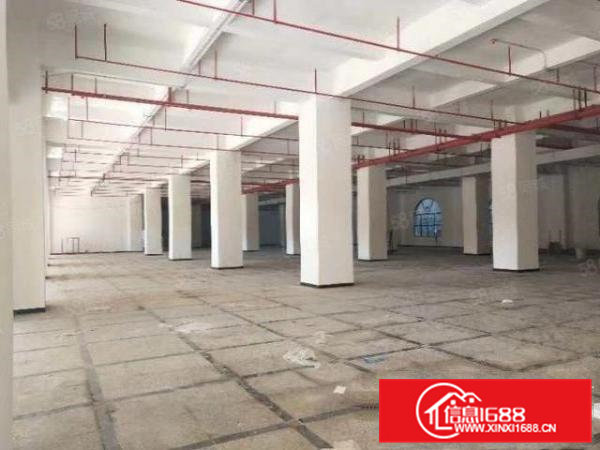 全新工业园空地非常大，近高速