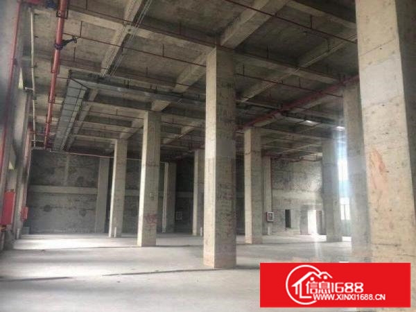 坂田独院华为红本厂房9000平