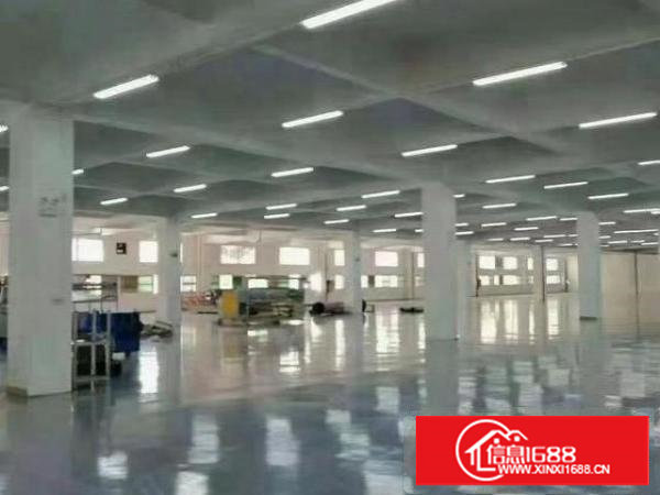 长安上沙新出楼上4900平方