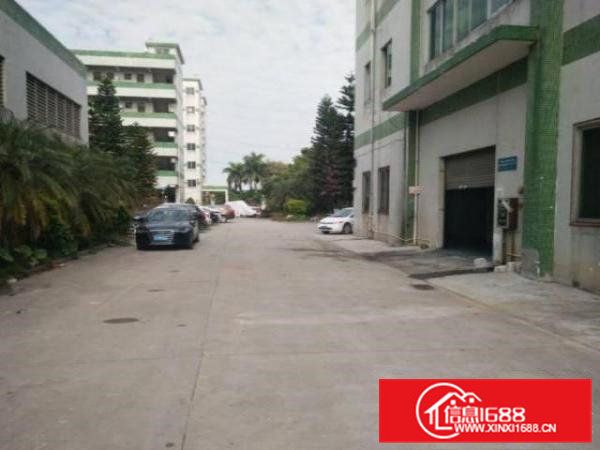 土桥新出楼上350平方带地坪漆装修厂房出租，水电齐全