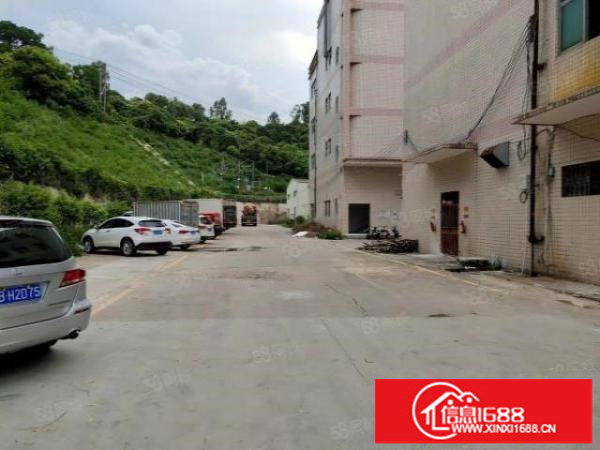 出租观澜一楼3000平厂房可分租