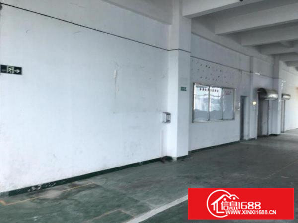 标准工业园新出厂房，热租中。