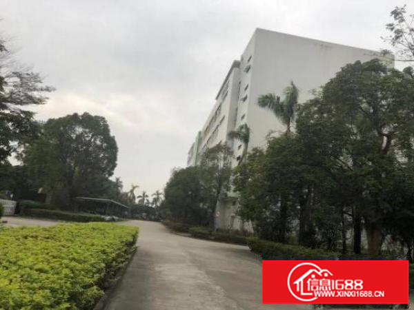 平湖整层1300平带缷货平台厂房招租可分