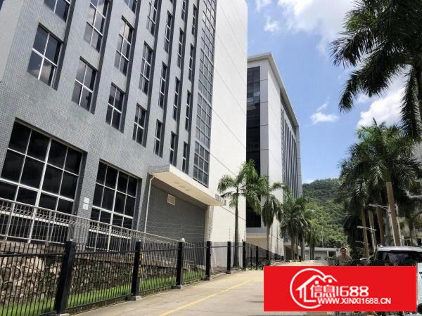 横岗地铁站业主电商园500~2000平米出租