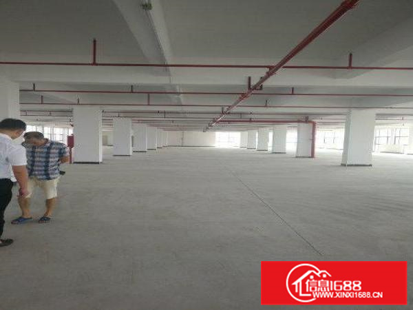 全新独院厂房便宜放！只要11元平米!