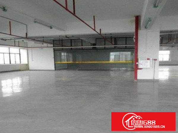 布吉大芬新出700平带装修厂房出租