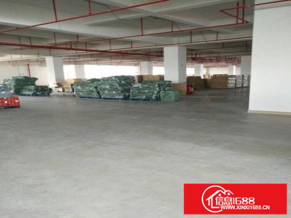 凤岗天堂围工业一二楼各3600平米出租可分租