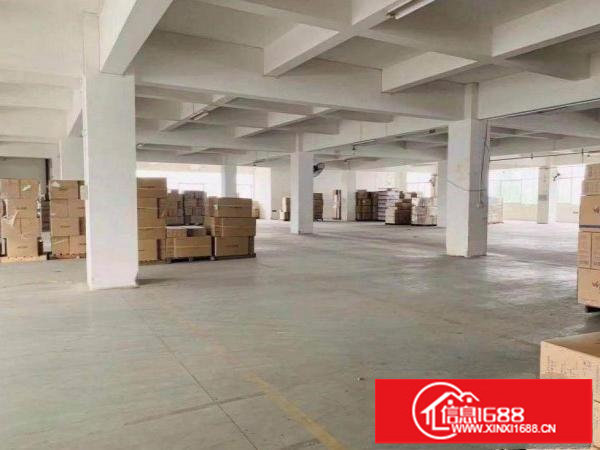 坂田马安堂原房东出租一楼厂房1400平，证件齐全