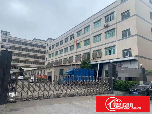 清溪大利新出2楼1350平带装修厂房出租拎包生产