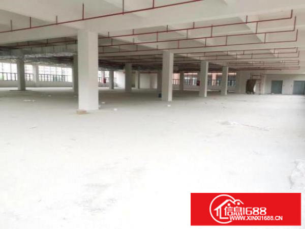 全新红本独院高标厂房10800平米出租形象好