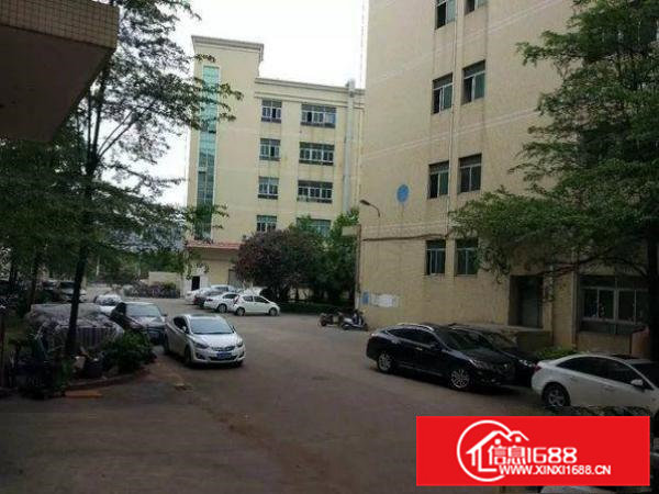 清溪浮岗楼上980平米豪华装修厂房出租