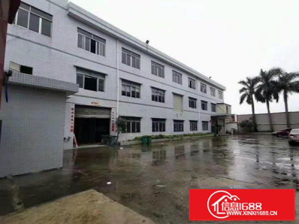 寮步凫山新出标准厂房一二楼各600平方