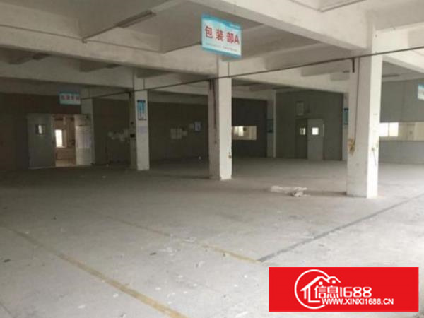 坪山新出独院厂房9800平整层分租