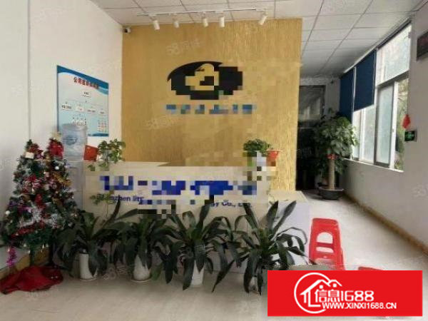 大浪电商园楼上精装修400平