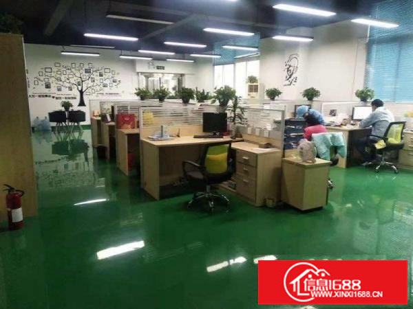 一楼整层1000平方出租可分租