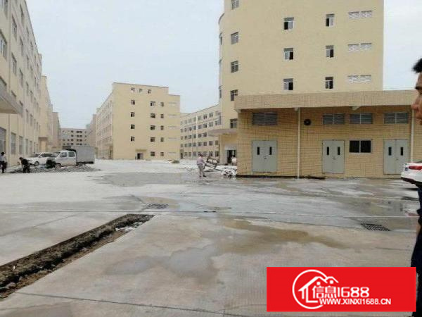 （全新）仲恺潼桥10万平标准厂房火爆招租