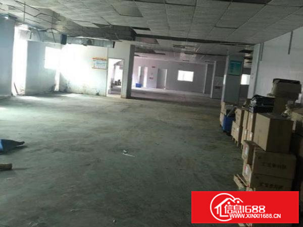 独门独户，标准厂房，可放注塑机