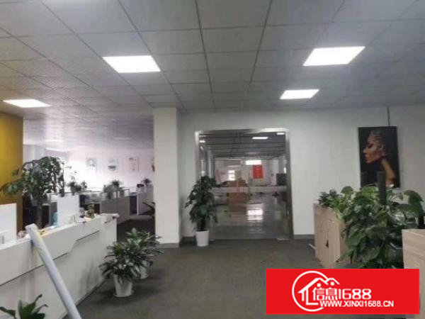 观澜牛湖2600平豪华装修厂房招租，可分租，办公，加工皆可