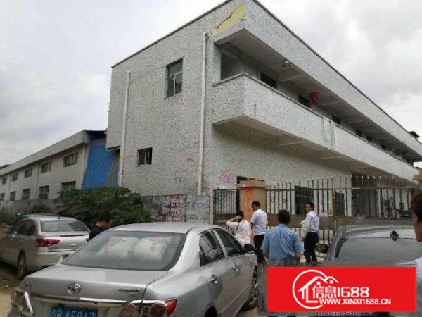 惠阳秋长新出2200平独门独院可喷油钢结构厂房