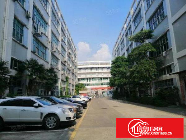 大浪华繁路边大型园区300平带装修厂房出租停车位充足