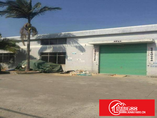 惠阳秋长新出4000平滴水8米钢结构独院厂房出租